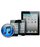   iPhone / iPad
